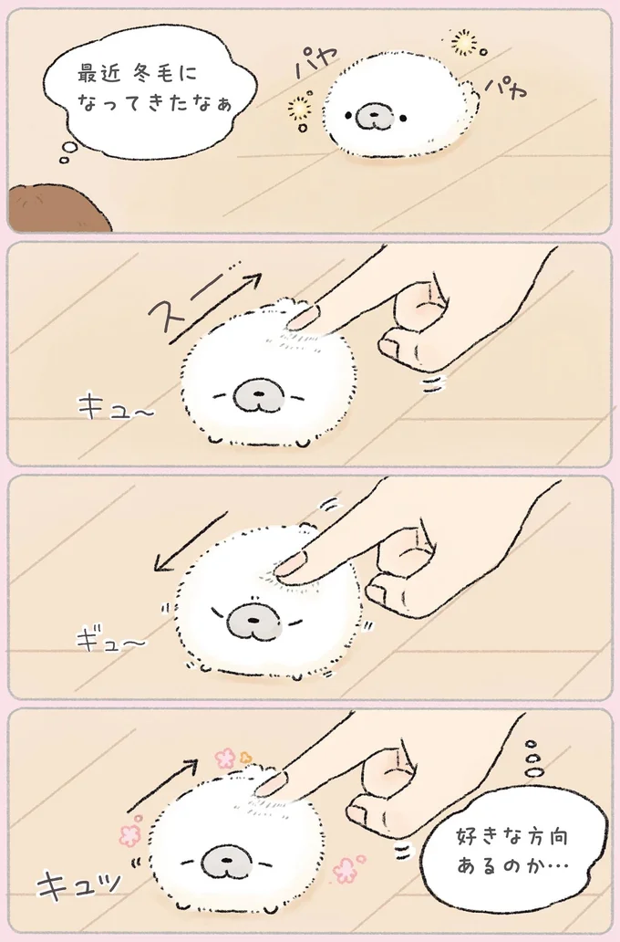 『ちょこんとあざらし』より