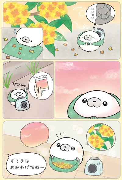 『ちょこんとあざらし』より