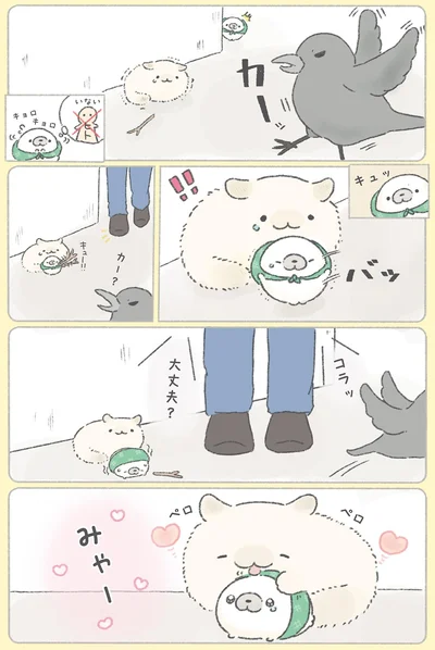 『ちょこんとあざらし』より