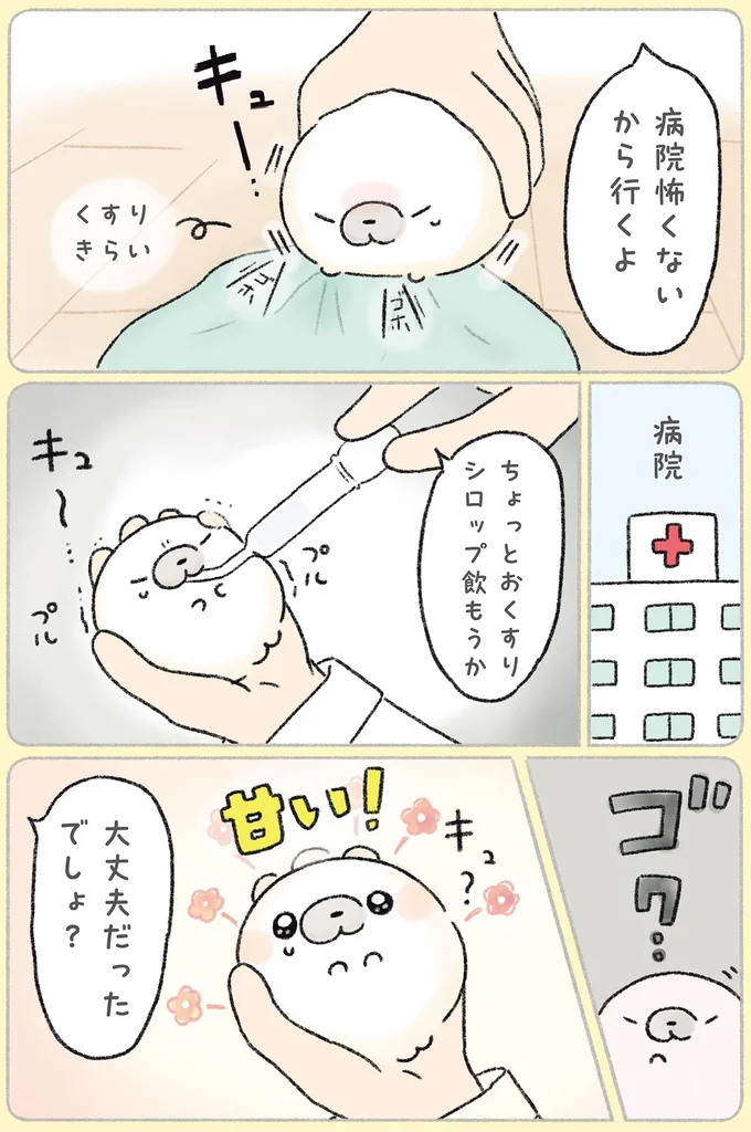 『ちょこんとあざらし』より