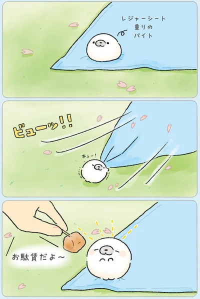 『ちょこんとあざらし』より