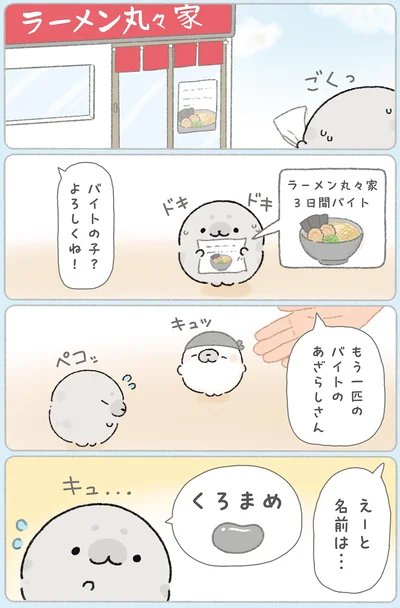 『ちょこんとあざらし』より