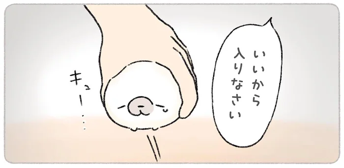 お風呂がめんどくさい。あざらしが考える理想の入浴システムとは？