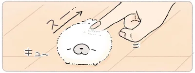 ふわふわ冬毛になりたてのあざらし。同居人が触ってみると？