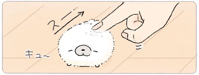 ふわふわ冬毛になりたてのあざらし。同居人が触ってみると？