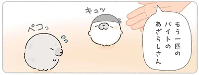 もう一匹のバイトのあざらしさん