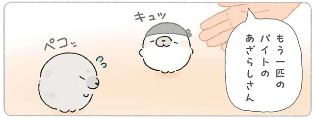 ラーメン屋でアルバイト。自分に自信がない新人さんにあざらしは？