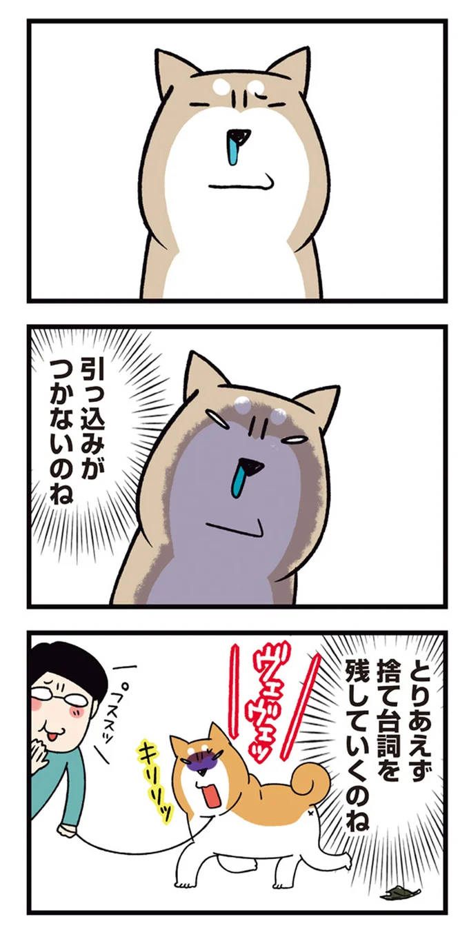 『ドヤ顔柴犬どんぐり2』より