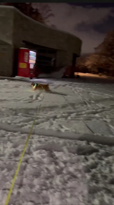 雪を全身で楽しむ♪▶どんどん上がるテンション（⇒次へ）