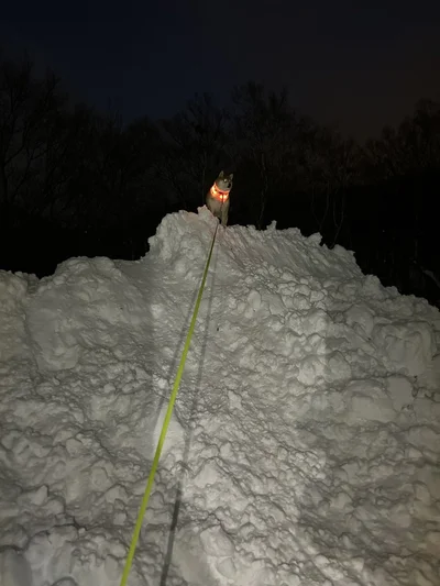 雪山登り検定1級合格！▶同じ景色を見つめる2つの背中（⇒次へ）