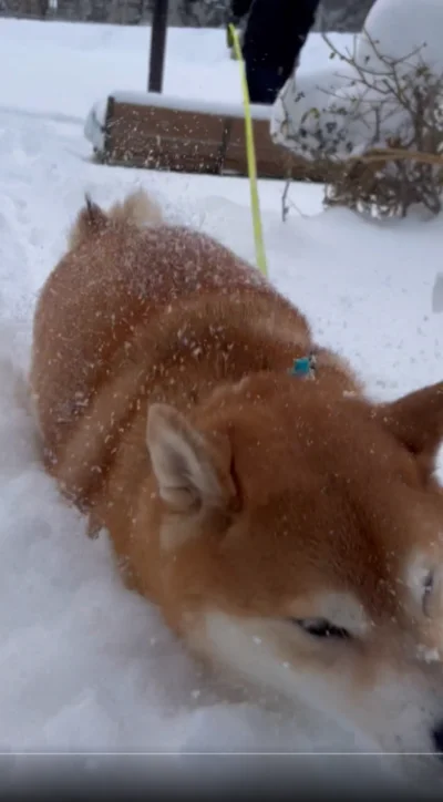 あっという間に到着！▶幻想的な雪景色のお散歩（⇒次へ）