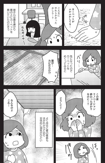 なんなのよこれ…