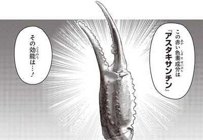 その効能は…！