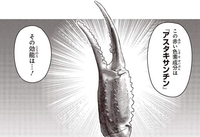 その効能は…！