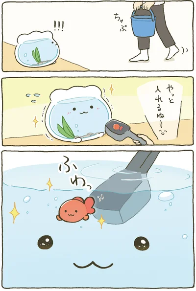 『金魚鉢ちゃん-ずっといっしょのまいにち』より