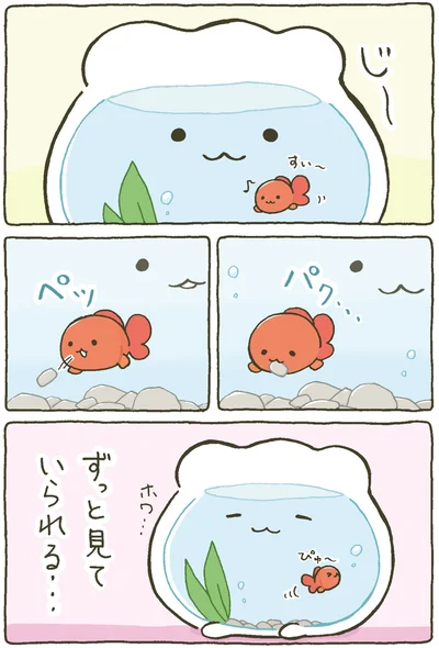 『金魚鉢ちゃん-ずっといっしょのまいにち』より