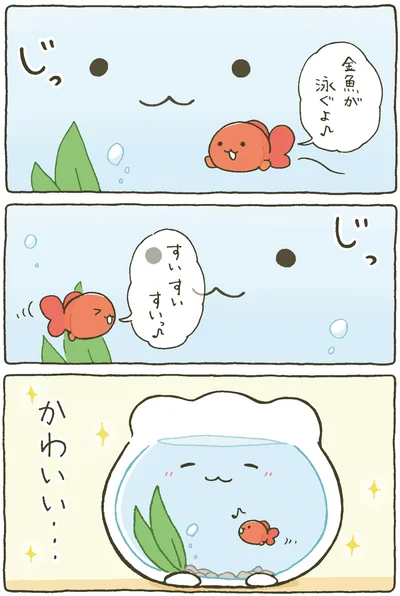 『金魚鉢ちゃん-ずっといっしょのまいにち』より