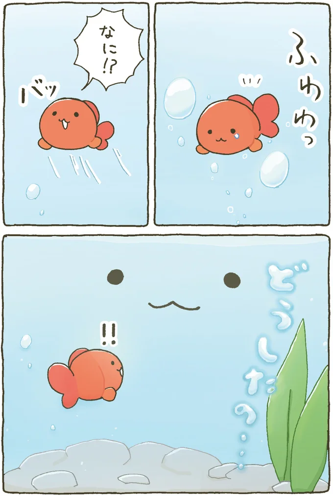 『金魚鉢ちゃん-ずっといっしょのまいにち』より