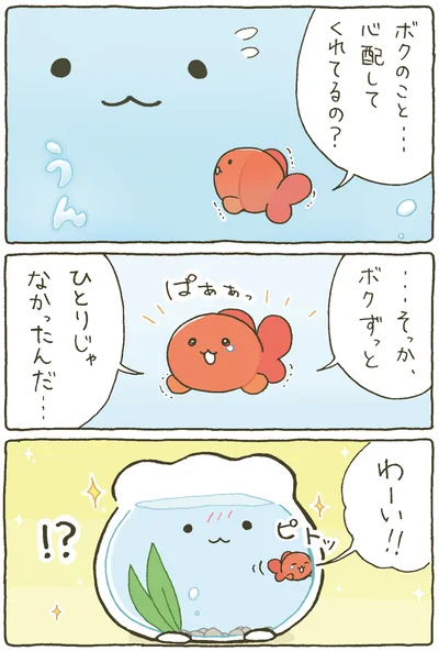 『金魚鉢ちゃん-ずっといっしょのまいにち』より