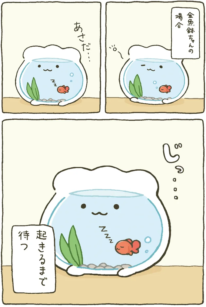 『金魚鉢ちゃん-ずっといっしょのまいにち』より