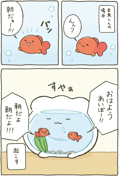 『金魚鉢ちゃん-ずっといっしょのまいにち』より