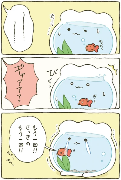 『金魚鉢ちゃん-ずっといっしょのまいにち』より