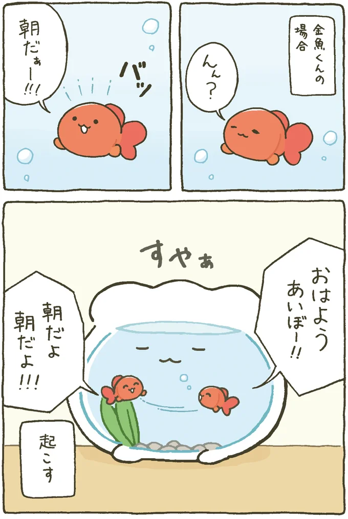 金魚くんの場合