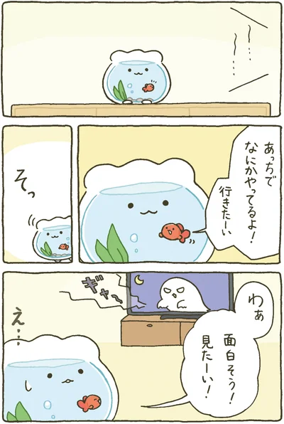 あっちでなにかやってるよ！
