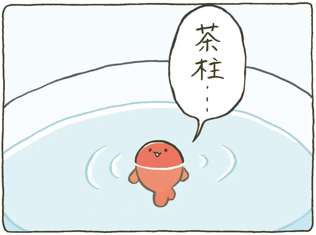 毎日でも見たい可愛すぎる茶柱！ 金魚鉢ちゃんには見えなくて残念！