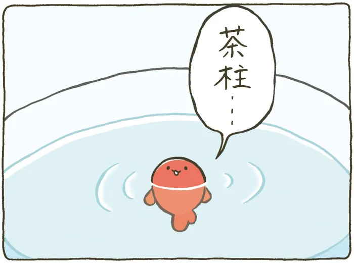 毎日でも見たい可愛すぎる茶柱！ 金魚鉢ちゃんには見えなくて残念！