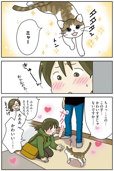 『世界一幸せな飼い主にしてくれた猫』より