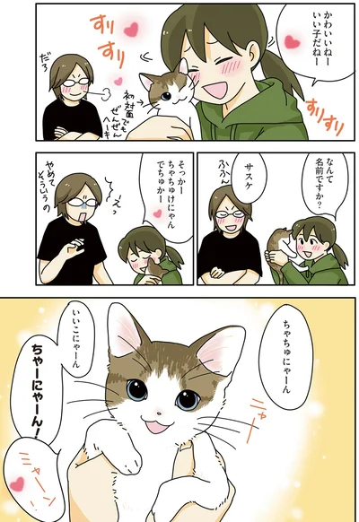 『世界一幸せな飼い主にしてくれた猫』より