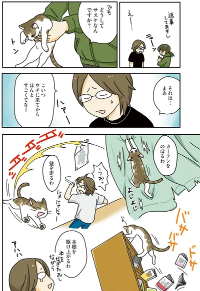 『世界一幸せな飼い主にしてくれた猫』より