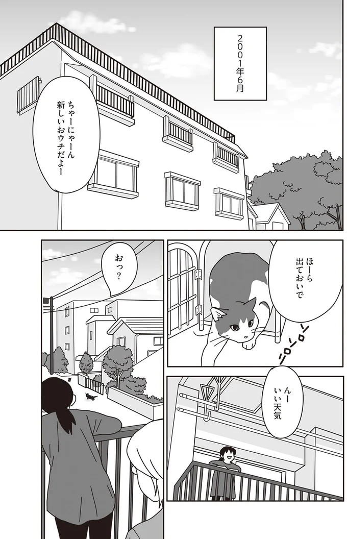 『世界一幸せな飼い主にしてくれた猫』より