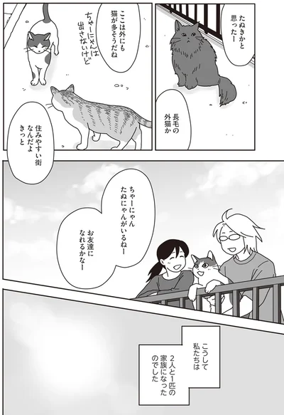 『世界一幸せな飼い主にしてくれた猫』より