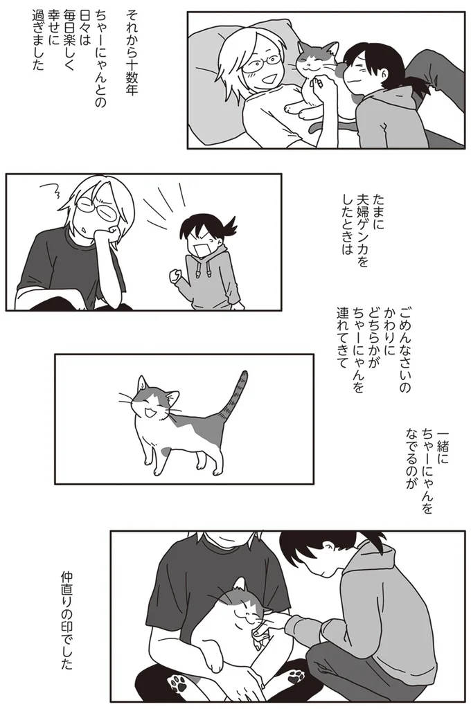 『世界一幸せな飼い主にしてくれた猫』より