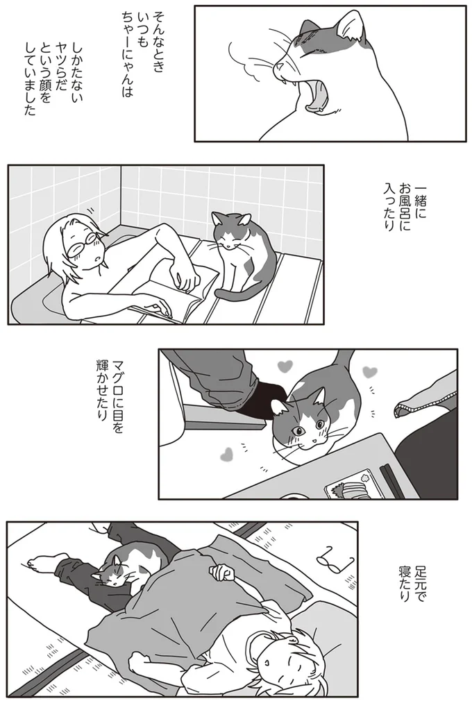 『世界一幸せな飼い主にしてくれた猫』より