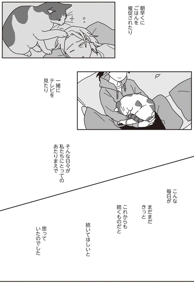 『世界一幸せな飼い主にしてくれた猫』より