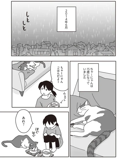 『世界一幸せな飼い主にしてくれた猫』より