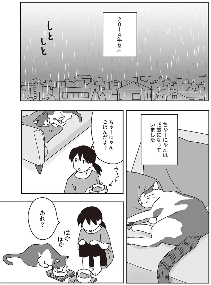 『世界一幸せな飼い主にしてくれた猫』より