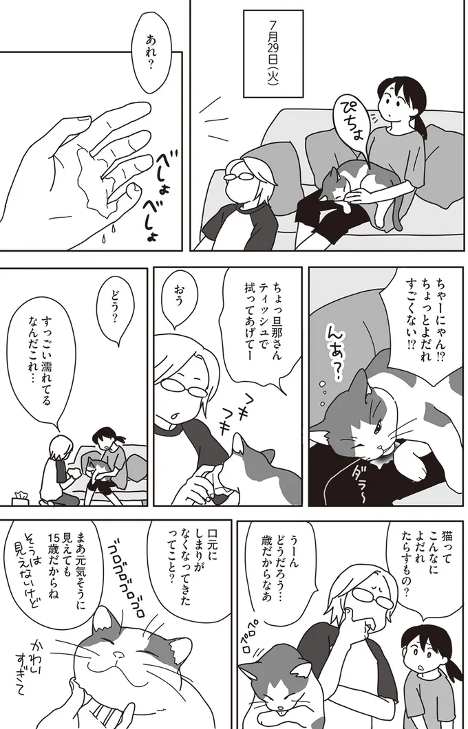 『世界一幸せな飼い主にしてくれた猫』より