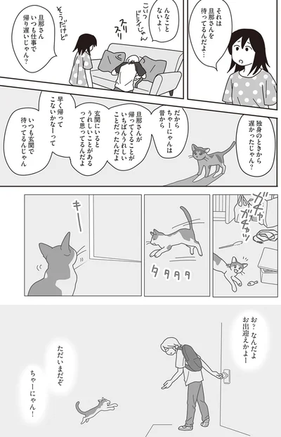 『世界一幸せな飼い主にしてくれた猫』より