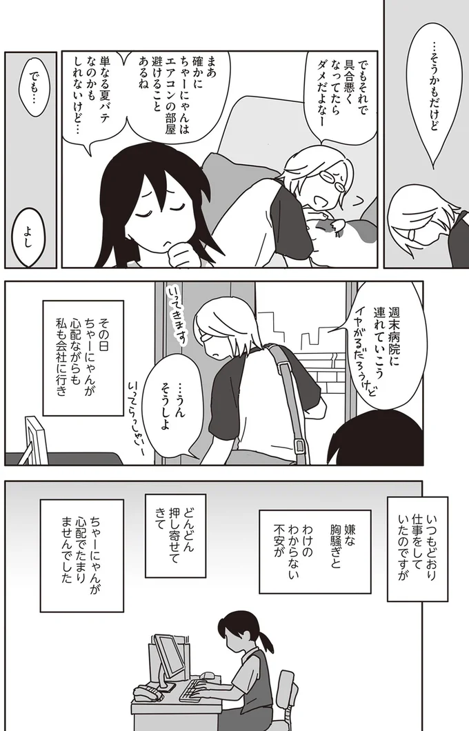 『世界一幸せな飼い主にしてくれた猫』より