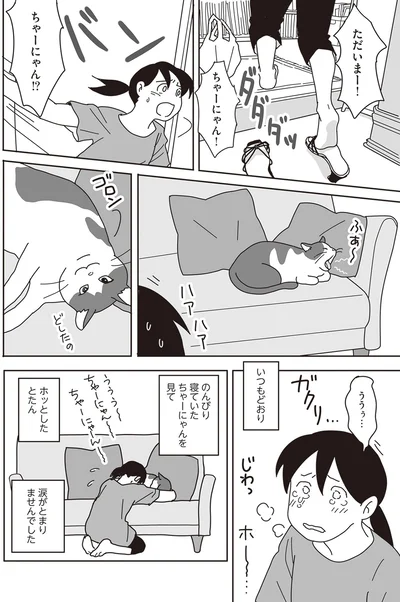 『世界一幸せな飼い主にしてくれた猫』より