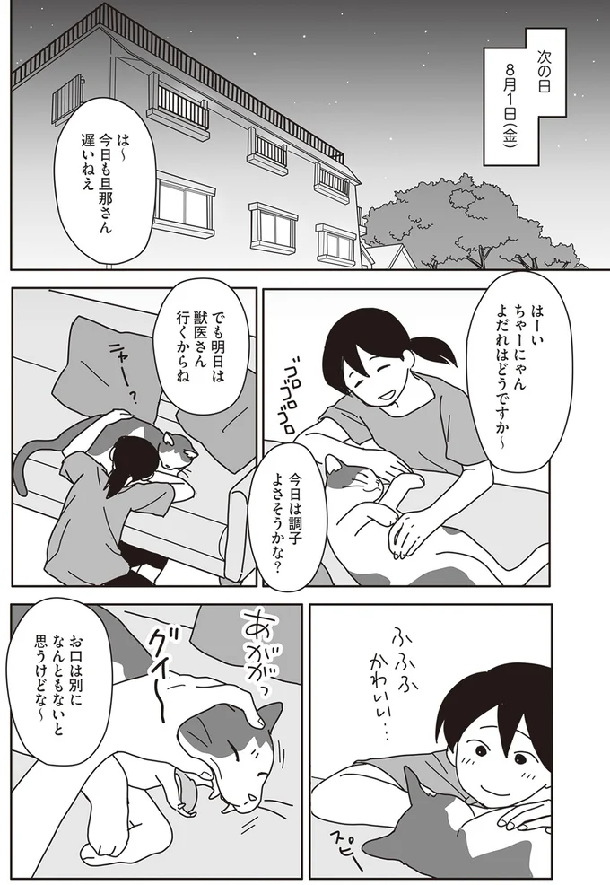 『世界一幸せな飼い主にしてくれた猫』より