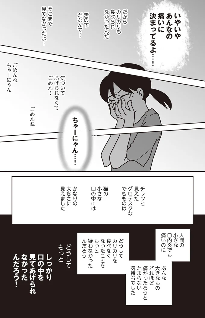 『世界一幸せな飼い主にしてくれた猫』より