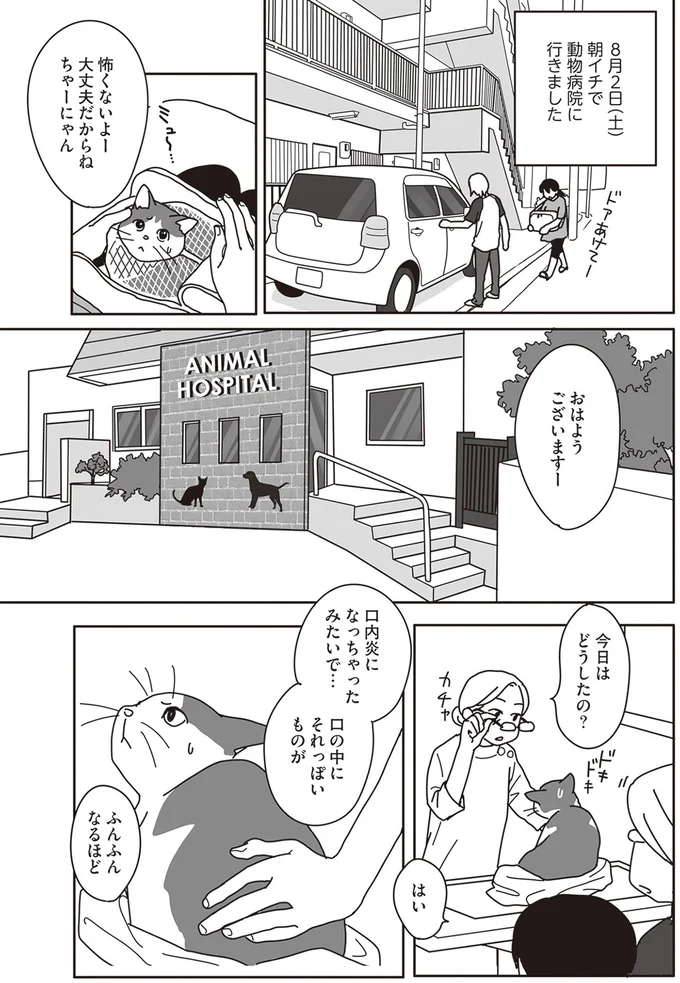 『世界一幸せな飼い主にしてくれた猫』より