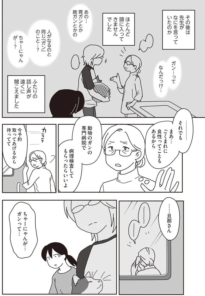 『世界一幸せな飼い主にしてくれた猫』より