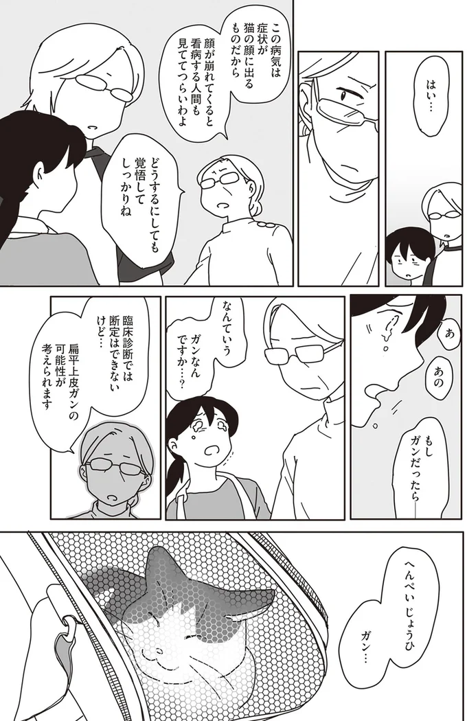 『世界一幸せな飼い主にしてくれた猫』より