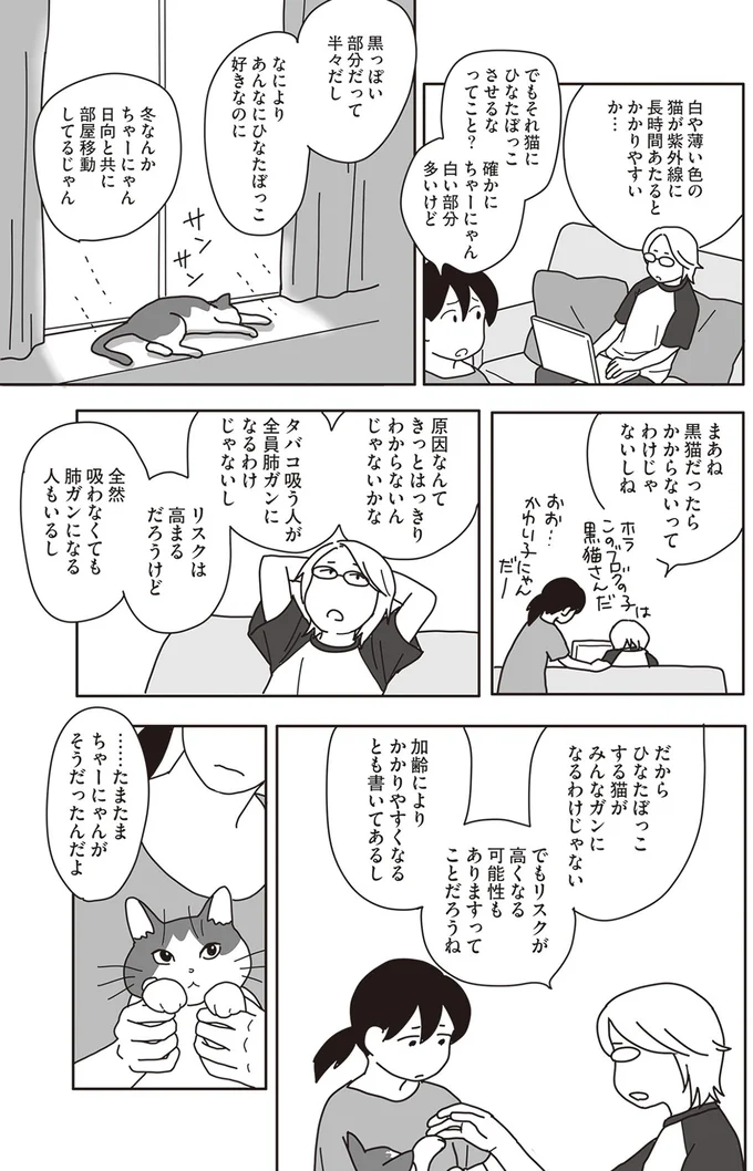 『世界一幸せな飼い主にしてくれた猫』より